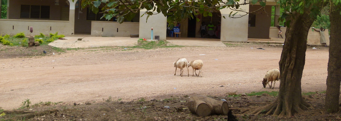 Mise à l'échelle des Villages du Millénaire 